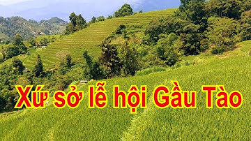 Khám Phá Thiên Đường Ruộng Bậc Thang Tả Sử Chóong