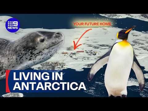 How YOU could find your next job in Antarctica | 9 News Australia