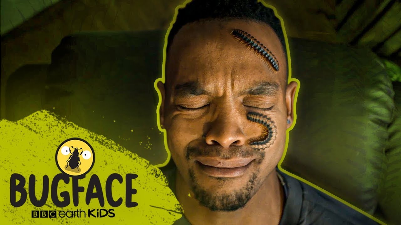 Strictly Dancer Takes On FIVE BLACK MILLIPEDES! | Bugface | BBC Earth Kids