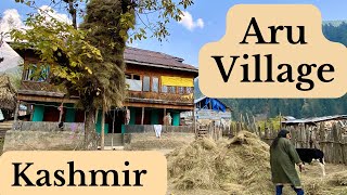 Aru Village in the Aru Valley of Pahalgam, Kashmir | Villages of Kashmir | The Young Monk |