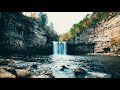 Waterfall &amp; Birds Ambient Sound | Relaxing Forest, Jungle Nature Sounds For Relaxation