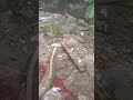 #vlog #video #traveling