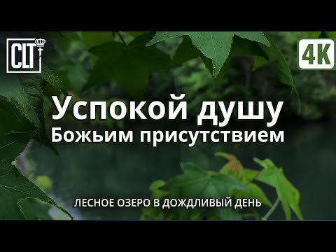 Не можешь уснуть? Засыпай, слушая Божье Слово для исцеления и  успокоения души под дождь | Relaxing