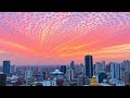 Rhythms of the Soul | Afrobeat | FREE Music Download