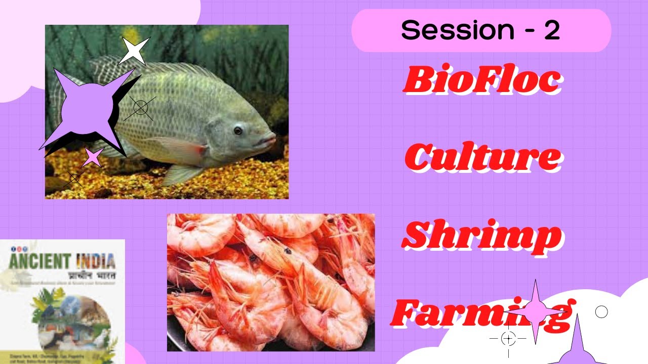 Session 2 Aquatic Animals Habit & Habitat, Water Cycle Importance