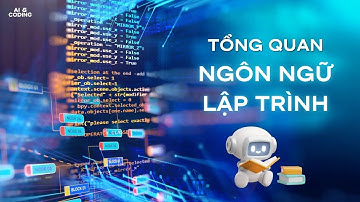 Tổng Quan Về Ngôn Ngữ Lập Trình | AI & CODING