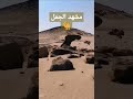 البعرة تدل على البعير والأثر يدل على المسير الجمل  الصحراء