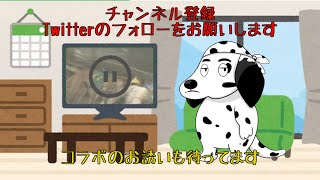 「【新人Vtuber：自己紹介動画】ダルダルという犬の存在」のサムネイル