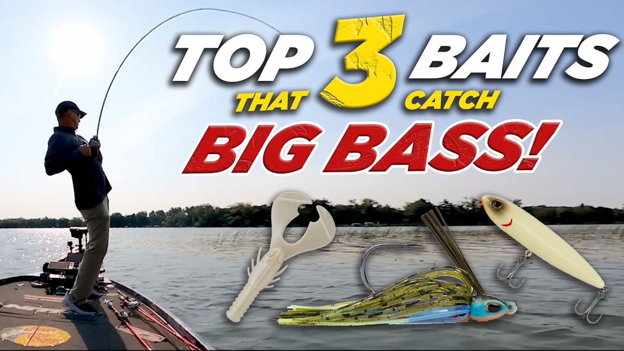 Top 3 Baits To DOMINATE May Bass Fishing!