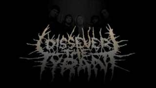 Dissever The Tryant - Voracity