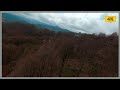 LOW FOREST FLIGHT | SAMEFPV