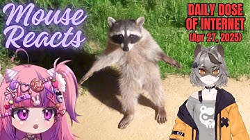 Mouse Reacts to Daily Dose of Internet: Funniest Animals Ever Part 1 (Apr 27, 2025)