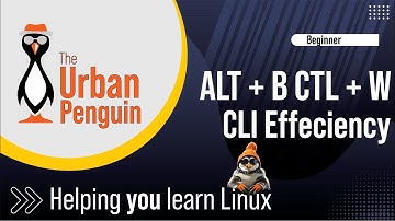 Bash Console: Speed Up Your Command Line
