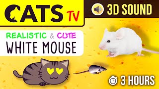 CATS TV  The BEST Mouse Game for CATS  3 HOURS (Realistic running mouse on cheese )