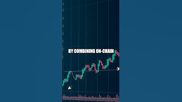 Inside the Crypto Investor