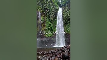 سورة الأعراف 🌹🌹من الأيه // ٤٤الى ٤٦ 🌱🌱تلاوة القارئ مروان سالم