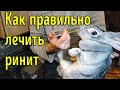 Как правильно лечить ринит \ Практика