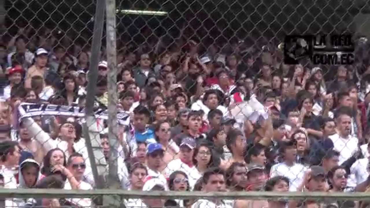 Canciones y gritos hinchada LDU
