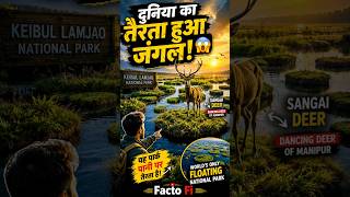 दुनिया का इकलौता Floating National Park! 😱 | Keibul Lamjao National Park Mystery | #shorts #viral