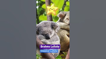 Thumbnail of Brahms Lullaby ❤ Classical Lullaby #shorts #lullaby
