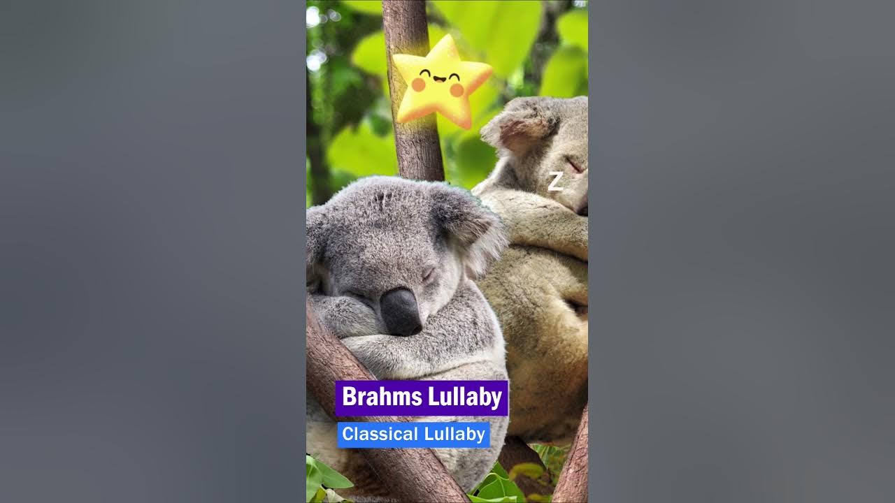 Brahms Lullaby ❤ Classical Lullaby #shorts #lullaby Brahms Lullaby ❤ Classical Lullaby #shorts #lullaby