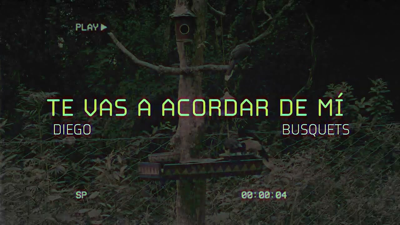 Diego Busquets - Te vas a acordar de mí (Video Lyric)