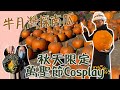 10月採南瓜季! | Pumpkin Patch | 採南瓜一日遊,順道去吃龍蝦堡~