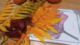 видео: 🍂Получилось нереально красиво! Сама не ожидала 🍁 Beautiful Autumn Leaf Art | Simple DIY Home Decor 🍂 картинка: 🍂Получилось нереально красиво! Сама не ожидала 🍁 Beautiful Autumn Leaf Art | Simple DIY Home Decor 🍂
