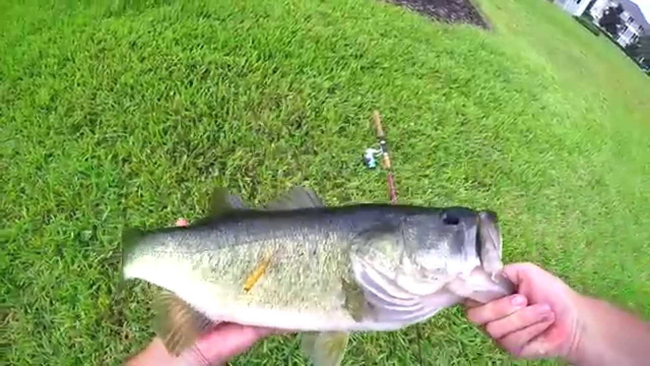 4 lb Bass Jacksonville Pond Fishing Strike King Crank