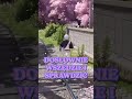 OTWARTY ŚWIAT W NEVERNESS TO EVERNESS #plvtuber #reciien #nte  #nevernesstoevernesspolska