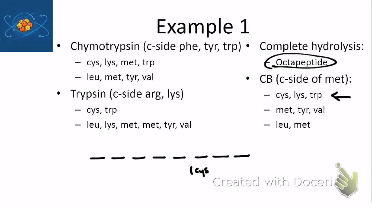 protein sequencing part 1 youtube protein sequencing