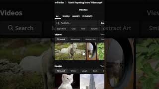 How To Get Free Stock Footage For Your Video