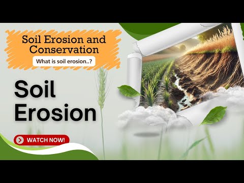Soil Erosion: Causes,