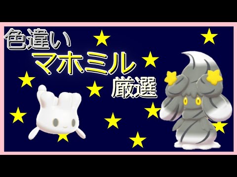 ポケモン剣盾 新しい姿 色違いマホミル厳選 Youtube