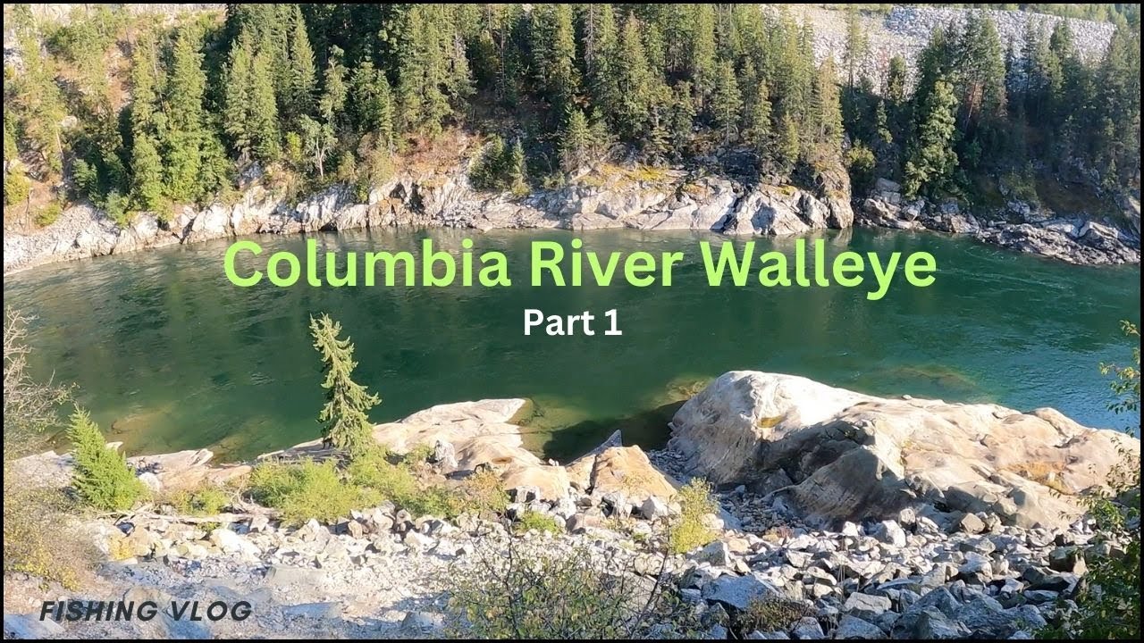 Walleye on the Columbia and Kootenay Rivers in BC. - YouTube