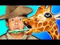 I Tried Being a Zookeeper For a Day