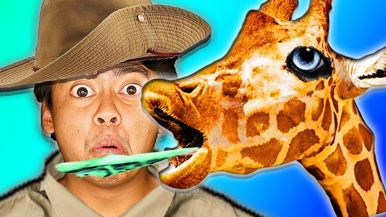 job for me zoo 300 job for me zoo 300