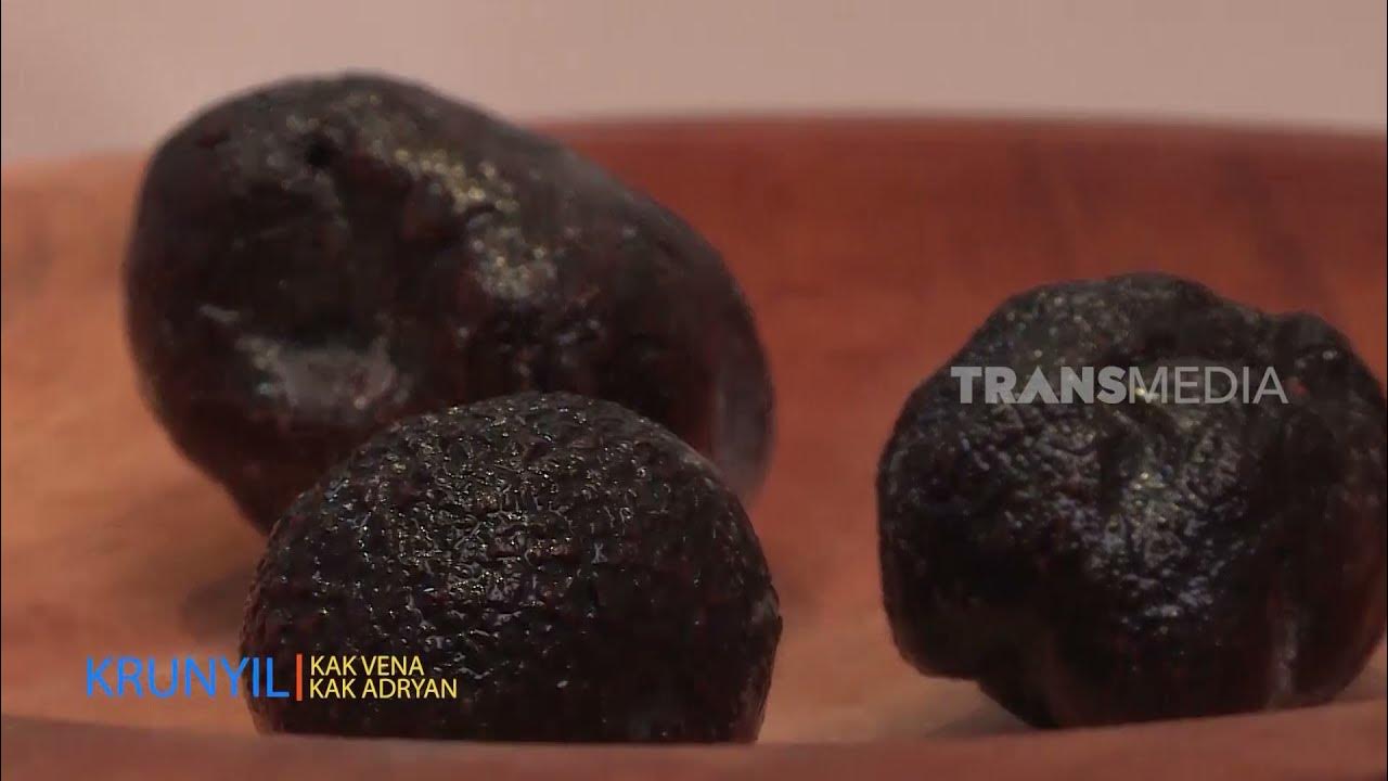 Jamur Truffle Super Langga Dengan harga Selangit SI UNYIL (12/04/21