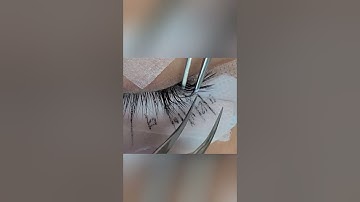 How to Achieve the Fox Eye Look with L-Curl Lash Extensions? #lashtrainer