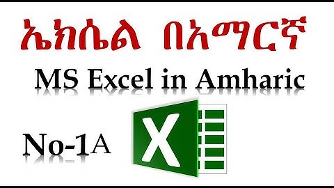 1A Microsoft Excel for Beginners -Basic Tutorial in Amharic Insert Picture Shape Smart Art Ethio LiQ