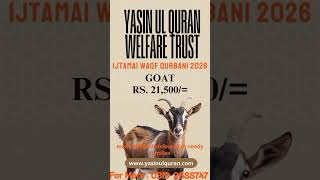 #donate #cow #charity #ijtamiqurbani #qurbani #waqfqurbani  #lifeisbutadream #sadqa #bull #chairty