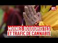 Sri Lanka : 22 moines bouddhistes arrêtés avec 110 kg de cannabis