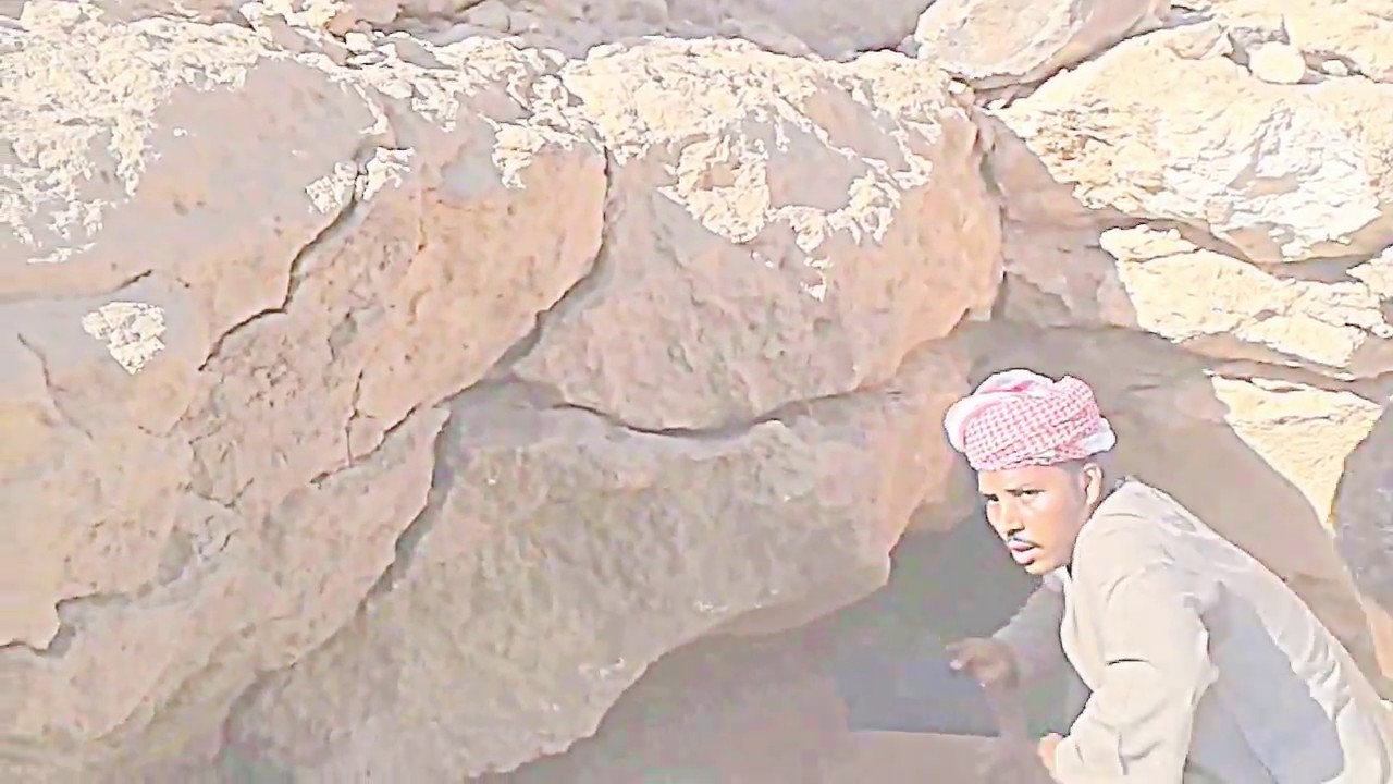 ناب الذيب المنشود YouTube