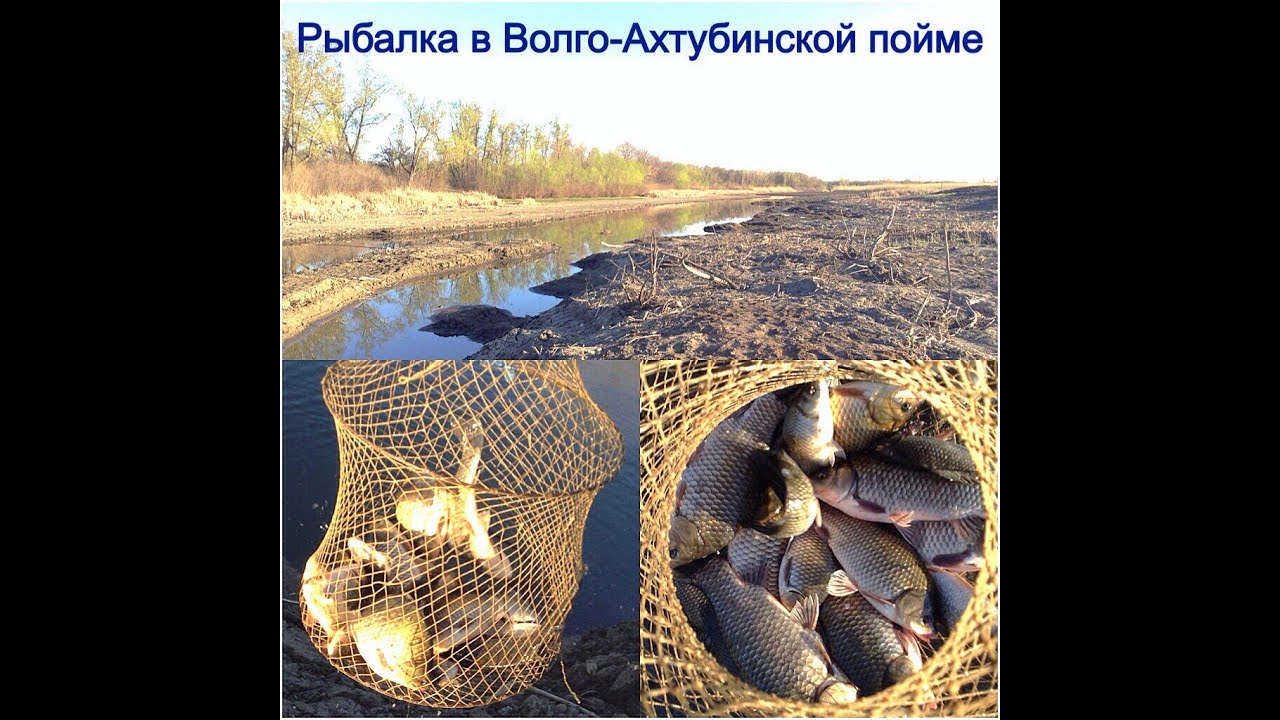 Волга ахтубинская пойма рыбалка