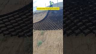 Untitled video