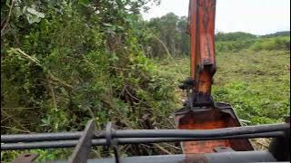 excavator terabas hutan blukar