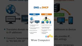 DNS vs DHCP Explained in 15 Seconds ⚡ | What’s the Difference? #shortvideo