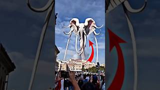 Top 5 Most Shocking Creatures Caught on Camera (You Won’t Believe #1!) 😱😲
