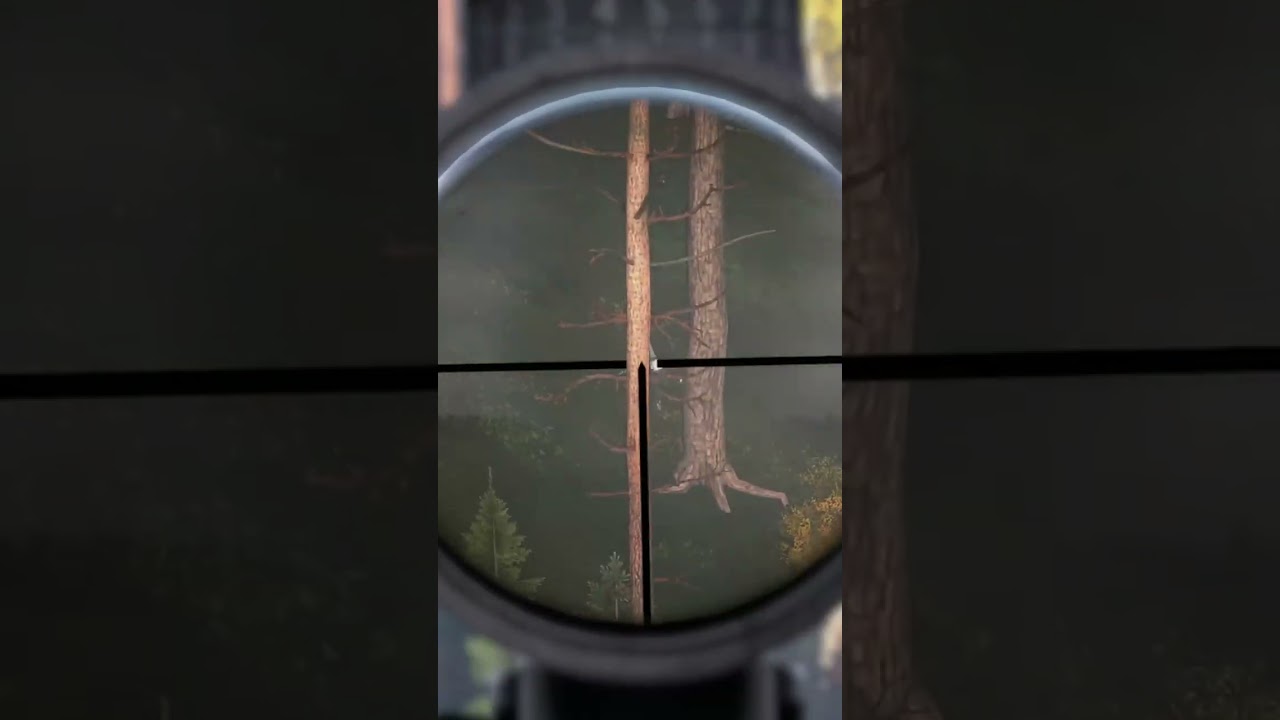 Watch Is The Mosin The Best Sniper? - Dayz on YouTube Watch Is The Mosin The Best Sniper? - Dayz on YouTube