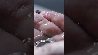 Olifest-də xüsusi tərəfdaşımız Clara Hygienics brendini qarşıla! 🥁